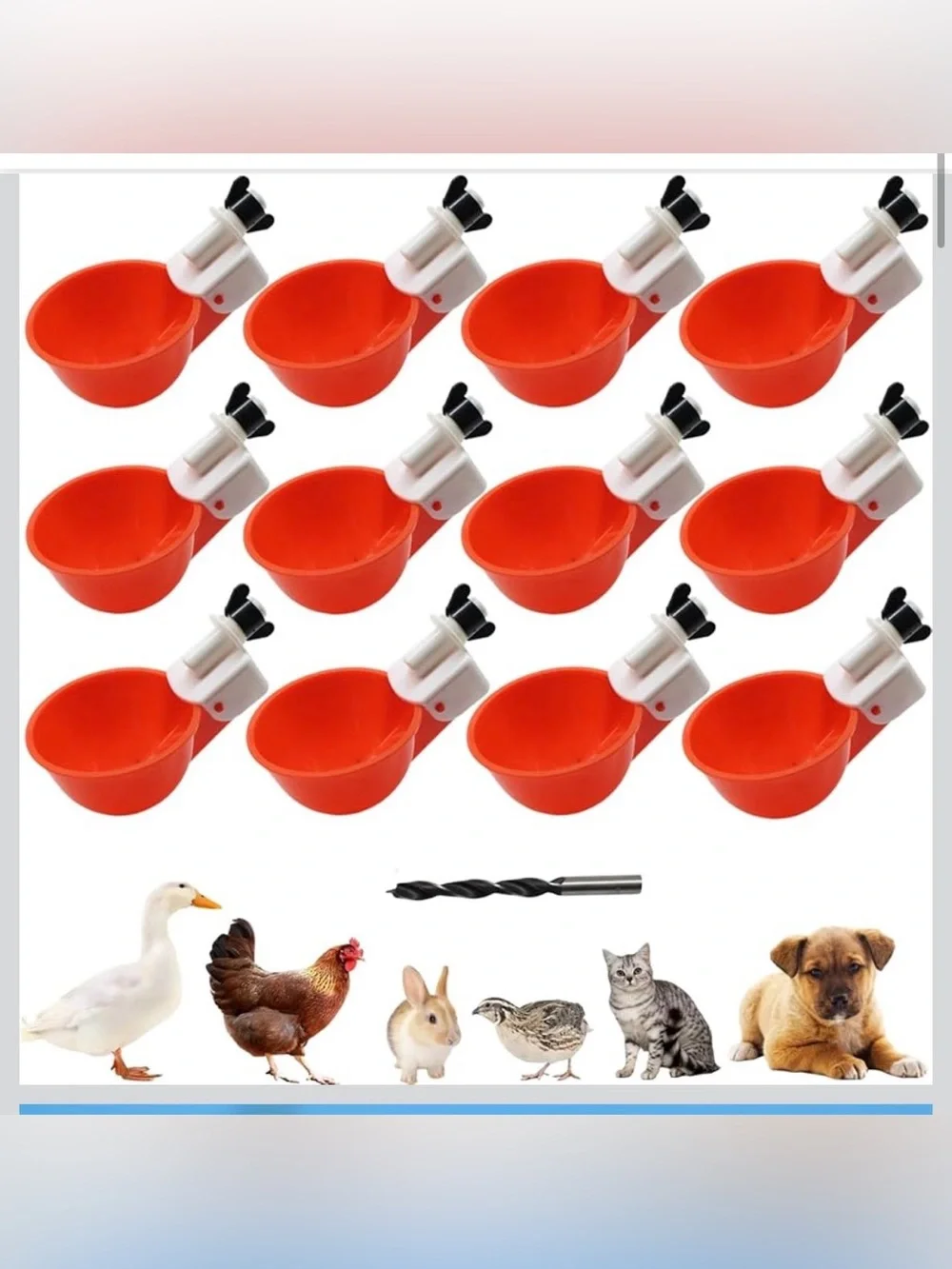 New Open Bag 12pack Chicken Waterer Cups, Poultry Water Feeder with Drill Bit